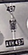 497 close up 2 497 close up 2